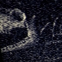 ꒷꒦︶Ocean of Blood︶꒦꒷ Discord server icon