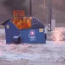 Dumpster Fire Collective