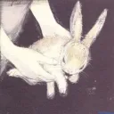Tacos Logs 🐇 [ARCHIVED]