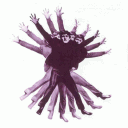 🪲Sydge’s Silly Society🌝 Discord server icon