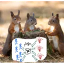 CZ PhD Discussion Platform