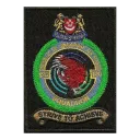 RSAF 120 SQN