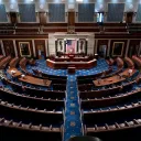 Virtual Democracy