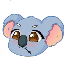 Koalas