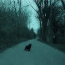 Life Through Death