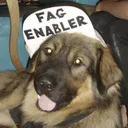 rabies.com ⋆