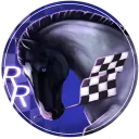 Rogue Racing
