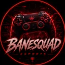 BaneSquad Esports Community