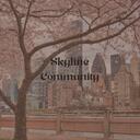  ©  Skyline Community Discord Server Icon