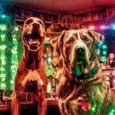 BigDogCoin #BDC🐕📈