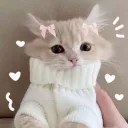Kitty Cove