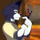 Butterfly Effect