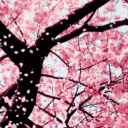 The Sakura Garden [21+]