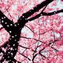 The Sakura Garden [21+]