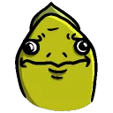 eels basement