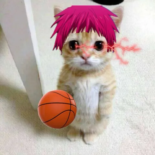 Bean killers — мониторинг Discord сервера, статистика и рейтинг