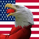 Two Idiot Americans