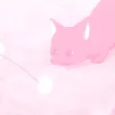 Haku paradise ‘