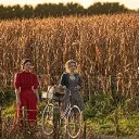 Wheat Field