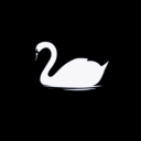 Black Swan Negotiation