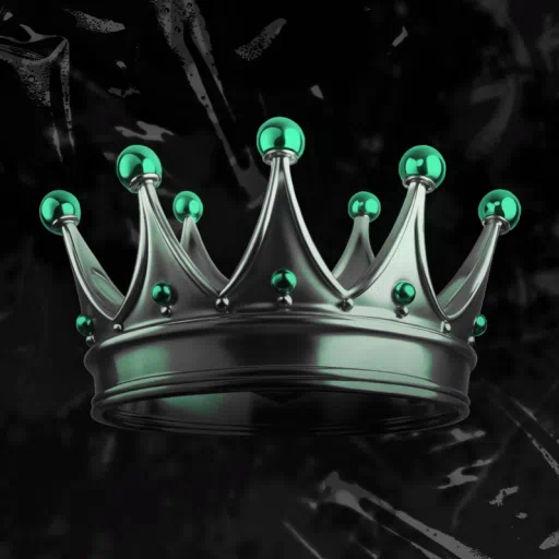 Oxis 👑 (SOON 2026) — мониторинг Discord сервера, статистика и рейтинг