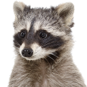 smpl Discord server icon