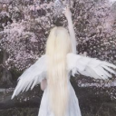 ~ºCherry blossom angels º~