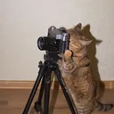 Fotografía en Español
