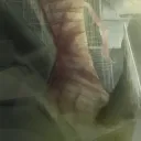 Peribellum Discord Server Icon