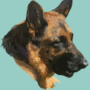 Jesseland Discord server icon