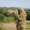Bushwookies