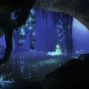 Stellar Cove
