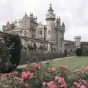 Royal rp audition server