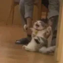 Pruebas RT Discord server icon