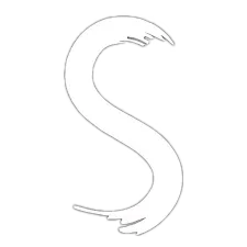 .Z banner