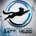 Scuderia Gatti Veloci