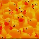 Ducc N' Friends⼁Training Arc