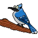 Nido esquizofrenico