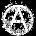 Anarquismo Para Neurodivergentes