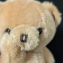 ねるこふれんず