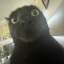 Civil Central Discord server icon