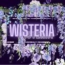 Wisteria | TSB CLAN