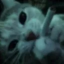 ꊰ꒐ꉔ꓄꒐ꄲꋊꋬ꒒