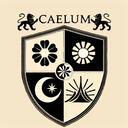 Caelum Academy Discord Server Icon