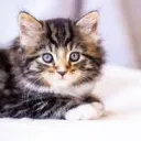 Class 8th grade Discord server icon