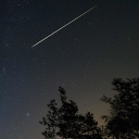 Daisy's Star watchers Discord server icon