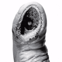 LARD Discord server icon