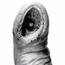 LARD Discord Server Icon