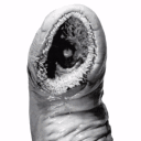 LARD Discord server icon