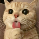 TradSocial ™ (reboot) Discord server icon